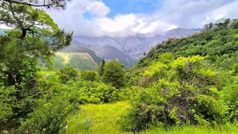 Belemedik Tabiat Parkı