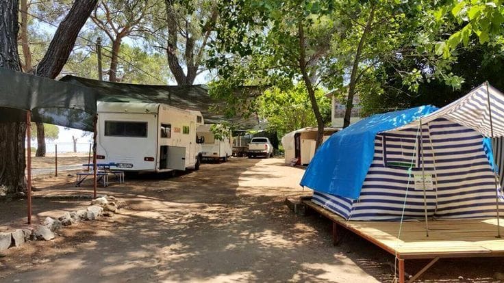 Çubucak Orman Kampı Deneyimi: Deniz ve Çamların Arasında Kamp