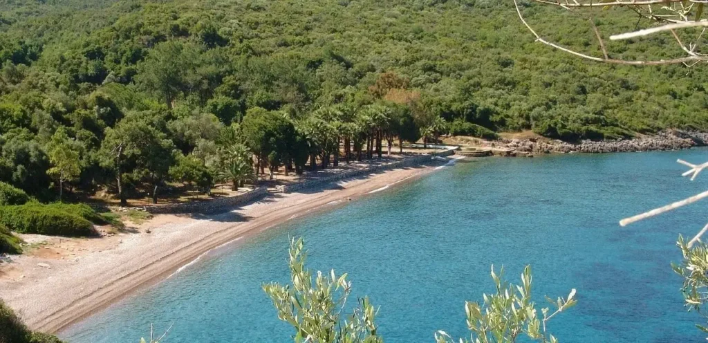 Çubucak Orman Kampı
