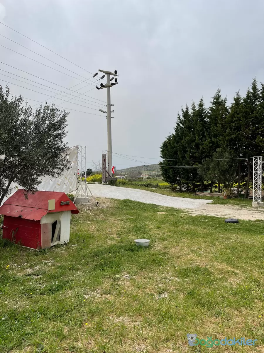 Salaşk VIP Karavan Park: Yolu Biraz Yavaşlatmak İsteyenlere
